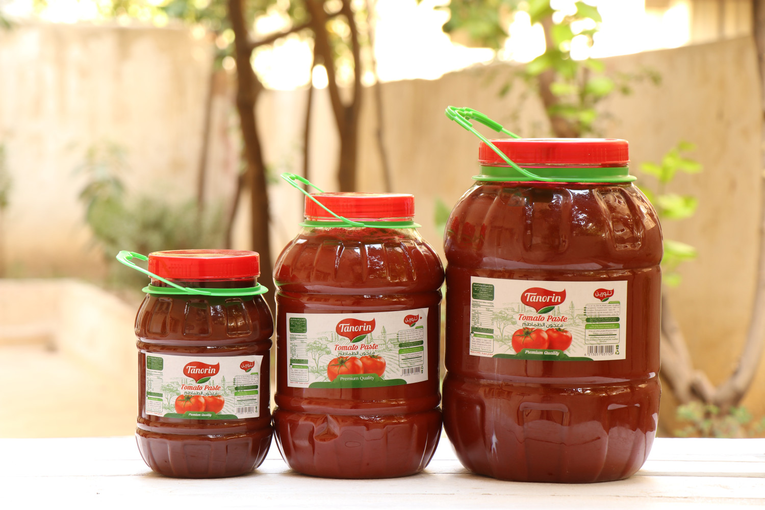 Tomato paste 8000g in plastic