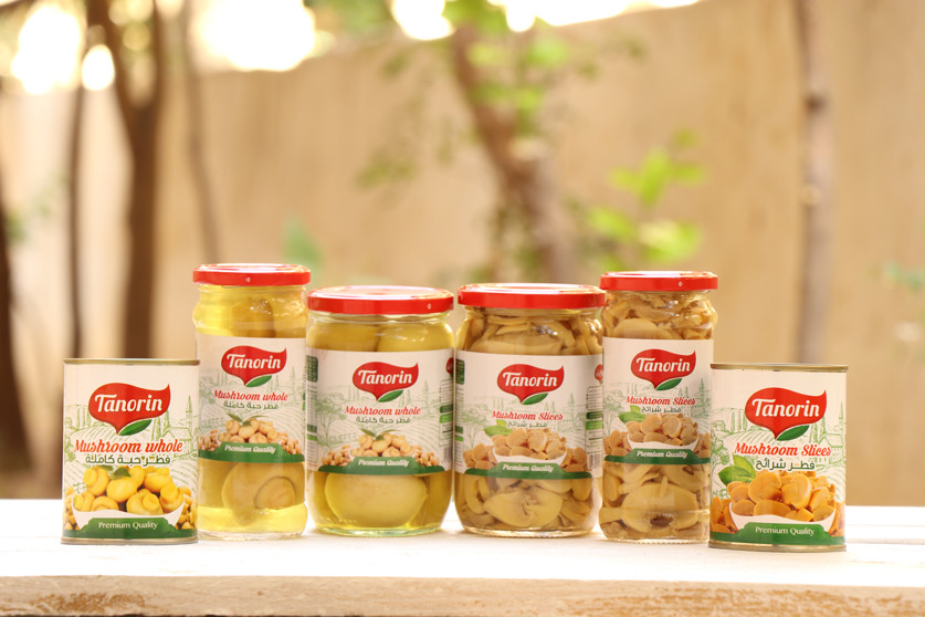 sliced mushrooms 380g canned