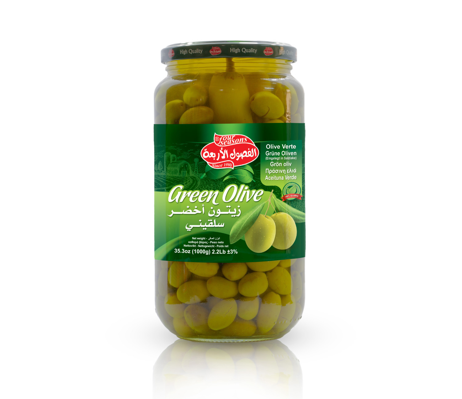 Salkiny Green Olive 1000g - Hover