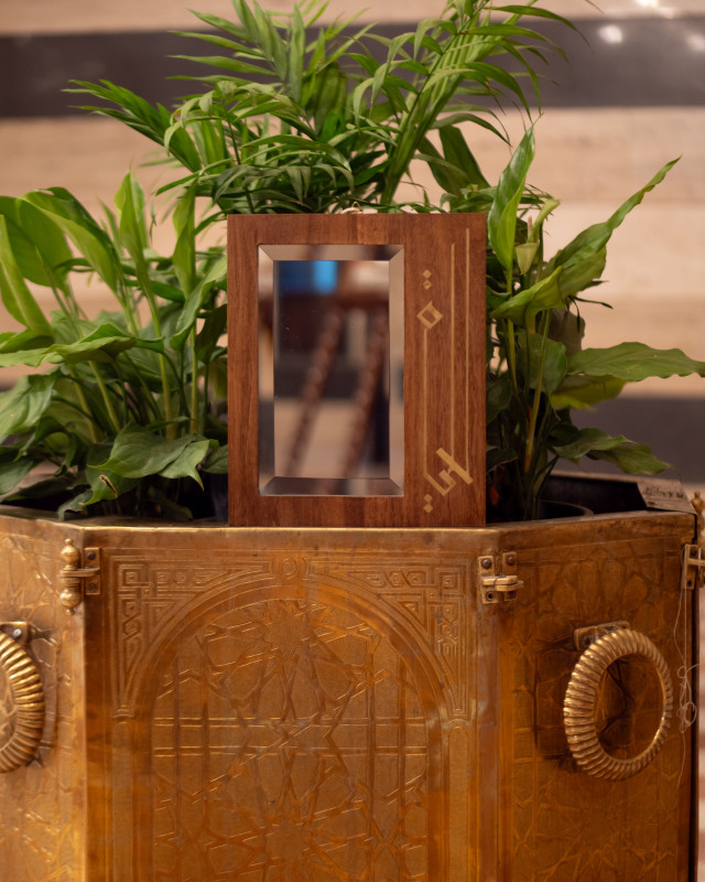 Mirror of life - Hover