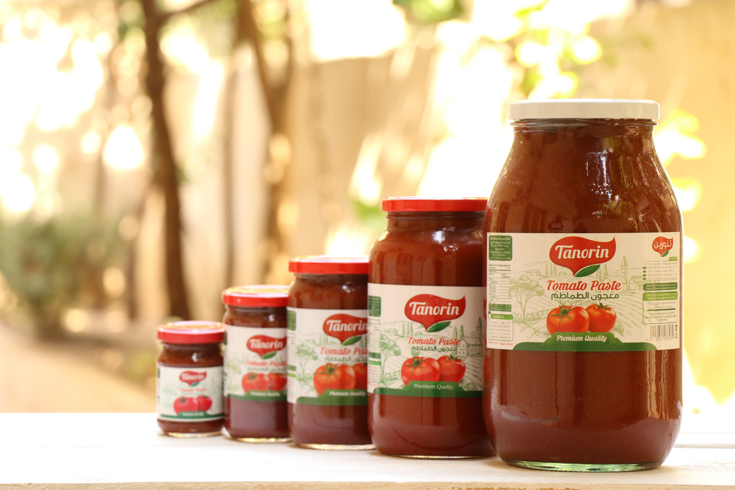 Tomato paste 3000 g